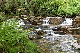 河,性質(zhì),水