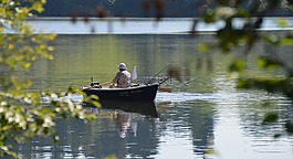 rottachsee,劃艇,魚