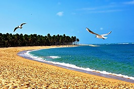 海灘,orla,mar