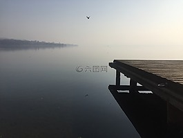 湖,瓦雷泽,海鸥
