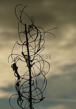 idylka,心靈的寧靜,天空