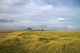 漢堡包 hallig,瓦登海,北海