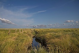 漢堡包 hallig,瓦登海,北海