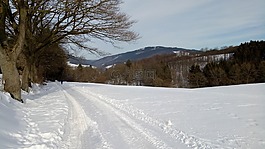 雪景觀,冬景,雪