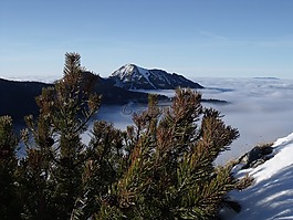 斯洛伐克,山,冬天