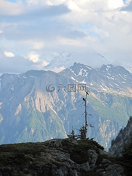 瑞士,山,烏鴉