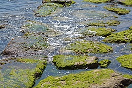 海,水,石