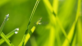廠,性質(zhì),活