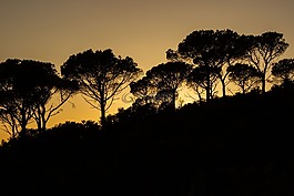 abendstimmung,托斯卡納,意大利