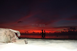 狗,海灘,醉