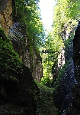 桥,partnachklamm,河