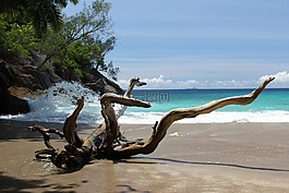 安斯,主要,海滩