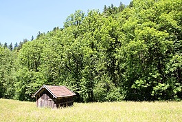 假期,小木屋,性質(zhì)