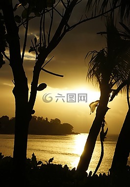 日落,海滩,塞舌尔