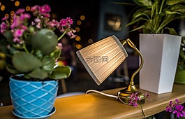 裝修,餐廳,食品