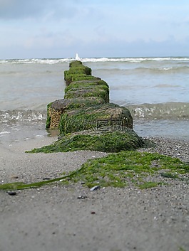 夏季假日,波羅的海,海灘