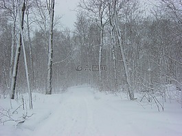 雪,暴風雪,冬天