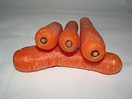 胡蘿卜,蔬菜,新鮮