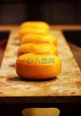 奶酪,環路,乳制品