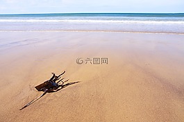海灘,藍(lán)色,海岸