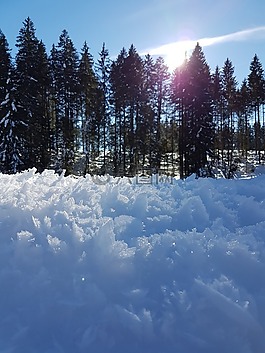 雪,弗羅斯特,太陽