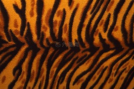 動(dòng)物,背景,貓