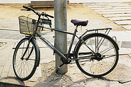 自行車,循環(huán),活動