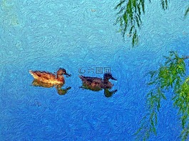 鴨子,池,畫