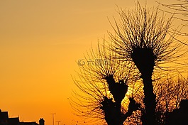 日落,太陽(yáng),天空