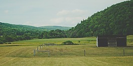 字段,公路旅行,旅程
