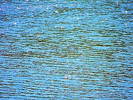 池,水,閃閃發(fā)光