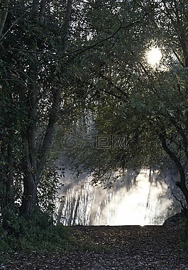水球,景觀,河