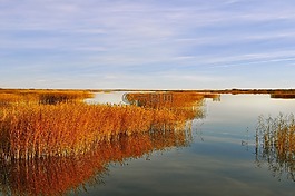 湖,水,天空