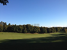 自然,公园,景观