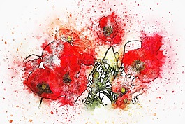花,花束,罌粟