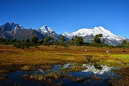 雪山,日出,牧場