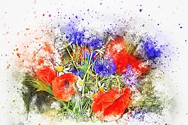 花,花束,罌粟
