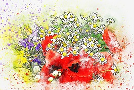 花,花束,罌粟
