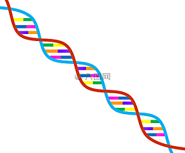 dna,遺傳學,符號