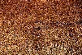 干草,稻草,農(nóng)場