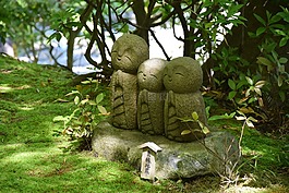日本,花園,仙女
