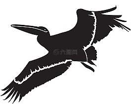 鵜,鳥(niǎo),動(dòng)物