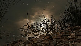 河,水,月亮