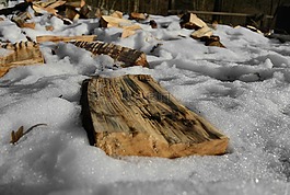 木,日志,雪