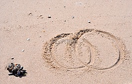 海灘,沙,環(huán)