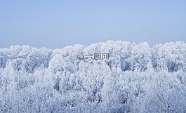 冬天,霜,凍結(jié)