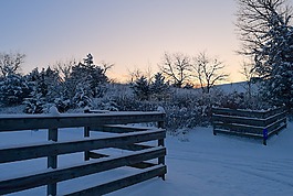 冬天,雪,上午