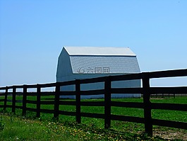 谷倉,農(nóng)場,原野
