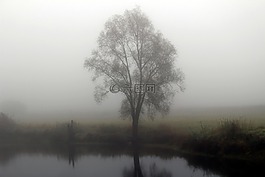 霧,秋季,里弗賽德