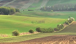 場(chǎng),性質(zhì),景觀